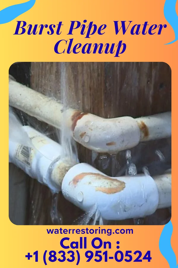 Burst Pipe Water Cleanup in South Greensburg, PA