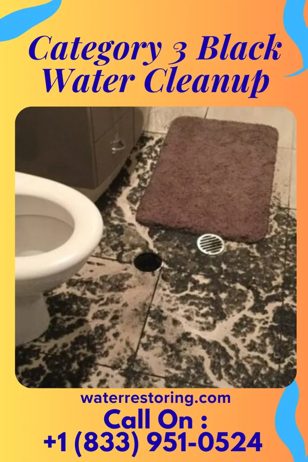 Category 3 Black Water Cleanup in South Greensburg, PA