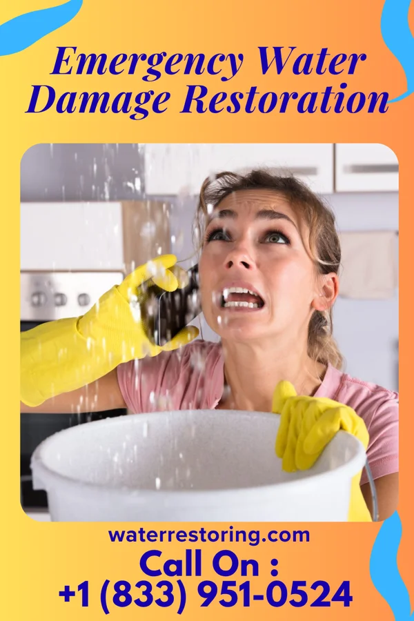 Emergency Water Damage Restoration in South Greensburg, PA