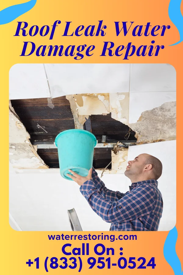 Roof Leak Water Damage Repair in South Greensburg, PA