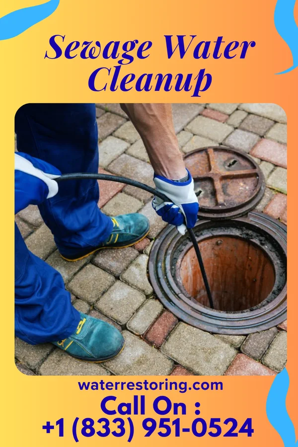 Sewage Water Cleanup in South Greensburg, PA